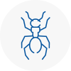 Ant Removals In Hamilton