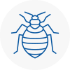 Bed Bug Extermination In Hamilton