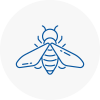 Bee Nest Removal Hamilton