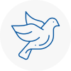 Bird Prevention Hamilton
