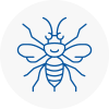 Hamilton Hornet Nest Removals