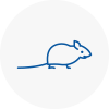 Mice Exterminators In Hamilton