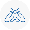 Moth Control Specialists In Hamilton