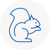 Hamilton Rodent Removals