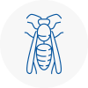Hamilton Wasp Nest Removal